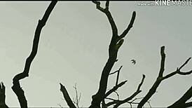 wanna see mirzapur's all sex scenes in hd compilation?