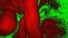 Couple engages in rough face fucking session