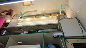 this crazy european girl loves getting upskirted at work for cash