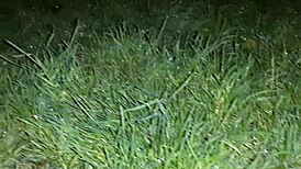Girls hide from rain in abandoned spot for talk