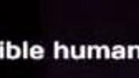 I Face-Sat the Anime Elf