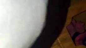 La Zorrita De La Villa Argentinian Beauty