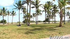 Passionate gay bear scenes filled with intense emotions