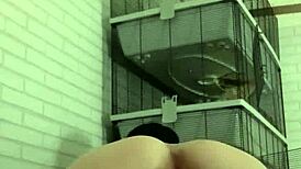 Getting horny with piss play on the sofa