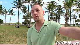 Passionate gay bear scenes filled with intense emotions