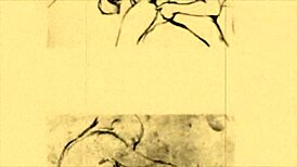 Exploring vintage erotic drawings from anime and hentai