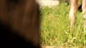 Summer Days Bring Out the Voyeur in Me Watching Neighbors!