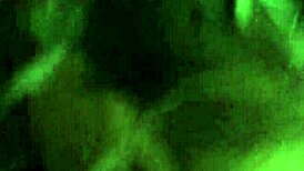 Slut talking too much