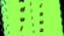 My new family episode 438