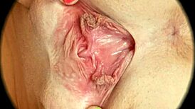 Nærbilde av hårig fitte i HD sex-teksturer av Rumesco