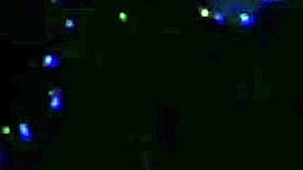 i lick that monster cock and dive into my cousin's pussy