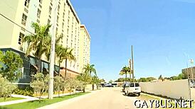 i'm gettin' all perverted in this homo sex