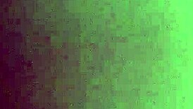 Prostitute in trimmed video action