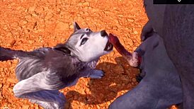 Alpha wolf devours tasty she-wolf in wild life furry adventure