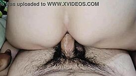 quick anal with that milf's wet tits