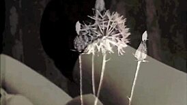 Vintage Victorian Homosexuals in Erotic Retro Scene