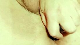 Bbw Shemale Stevi Dolly's Journey