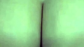 brazilian web stripper performs day 2 routine