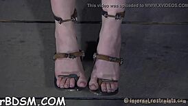 Beauty Tied Upside Down With Snatch Thrashed