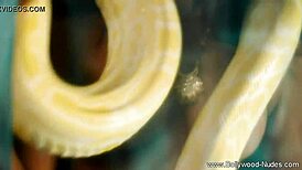 bolly babe looking pretty