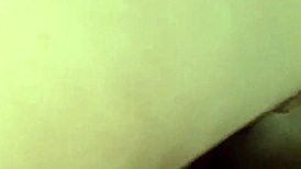 gay interracial blowjob unfolds in steamy scene