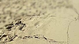 missspisss update 10 from mallorca beach on nov 11 2024