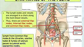 relaxing golden massage for women contact zalo 0929656694ma