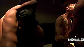 Gay Orgy Kissing Big Black Cocks