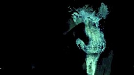 Dark Lantern Entertainment unveils vintage interracial confessions with intense black cock action.