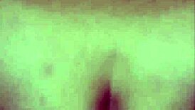 Follower Wins And Jumps On It