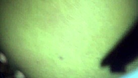 Miami Boys in Raw Tag Teaming BBW