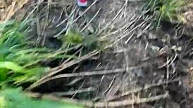 big black hetero guy fucks young ass behind school and cums in mouth