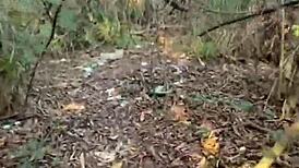 big black hetero guy fucks young ass behind school and cums in mouth