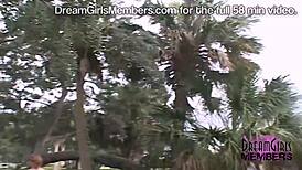 Man, wet t-shirt flashing in public totally annoyed the Florida neighbors!