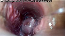 Vaginal Orgasm In High Definition Close-Up