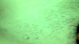 Jessy Mi's Favorite Companion Relaxing