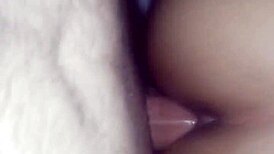 Delicious Brazilian Girlfriend Sucks And Fucks Amateur