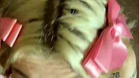 Emma Rosie delivers intense blowjob and facial in hot hookup.