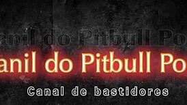 check out this latina couple getting hardcore assfucking and anal in the kennel camera