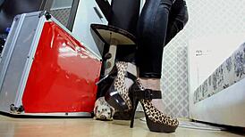 Are you ready to be ruined by financial domination, loser?