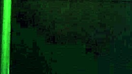 universitaria argentina en viaje de promoción