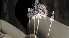 exploring my secret life in vintage silent films