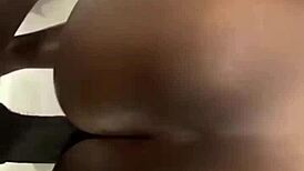 Pari nauttii silitys-juhlasta paljon hauskuutta ja huippuja