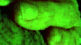 Amateur Wife Blowjob and Asslicking!