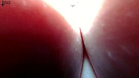 Giantess Hides Tiny Man in Tits