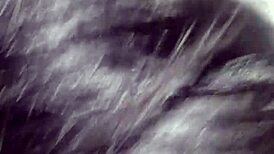 European Italian gives interracial blowjob.