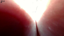 Giantess Hides Tiny Man in Tits