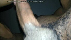 بتنيك الزوجة كده كل ليلة؟