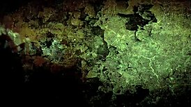 What secrets hide in vintage erotic drawings?