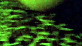 The real amateur teacher enjoys her hairy cunt licked by the student, squirting everywhere.